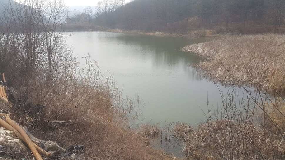 구미권 조황소식 (조황조행기 - 낚시점조황)