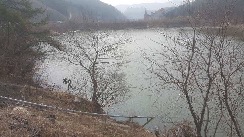 구미권 조황소식 (조황조행기 - 낚시점조황)