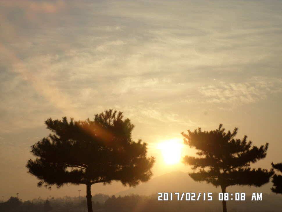 충주 탄금호 낚시조황 (조황조행기 - 낚시점조황)