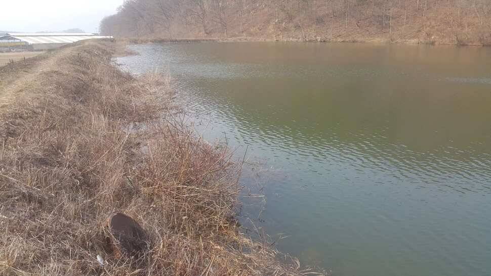 구미권 조황소식 (조황조행기 - 낚시점조황)