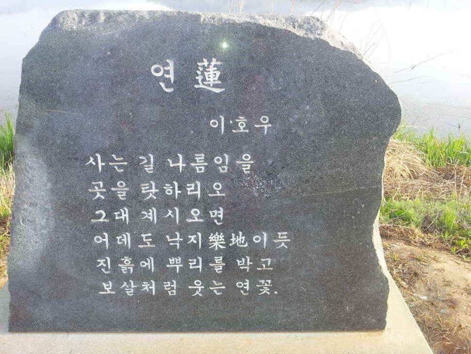 4자 2마리 가창팔조낚시 (조황조행기 - 낚시점조황)