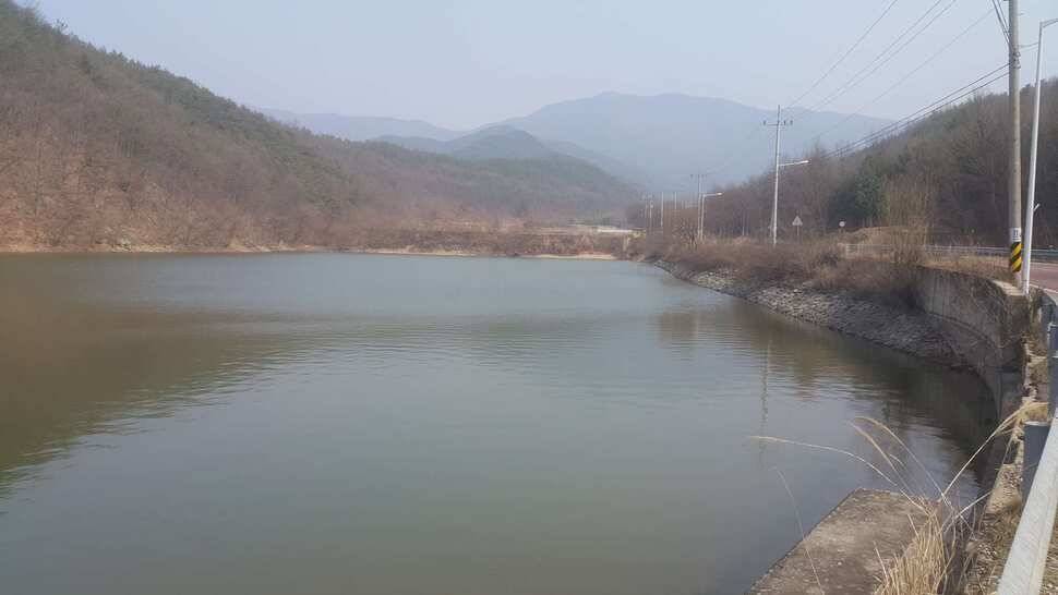 구미권 조황소식 (조황조행기 - 낚시점조황)