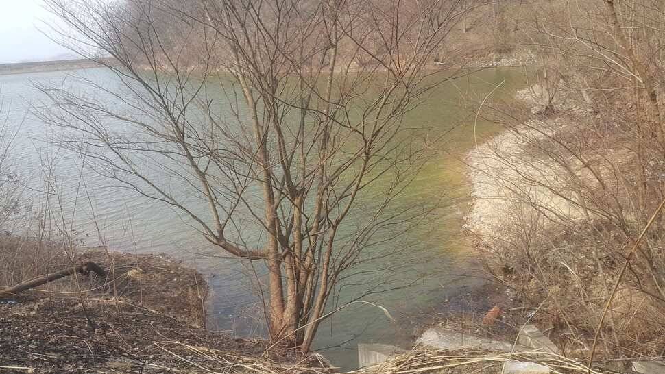 구미권 조황소식 (조황조행기 - 낚시점조황)