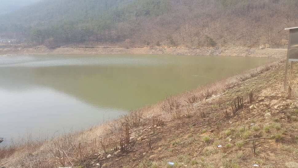구미권 조황소식 (조황조행기 - 낚시점조황)