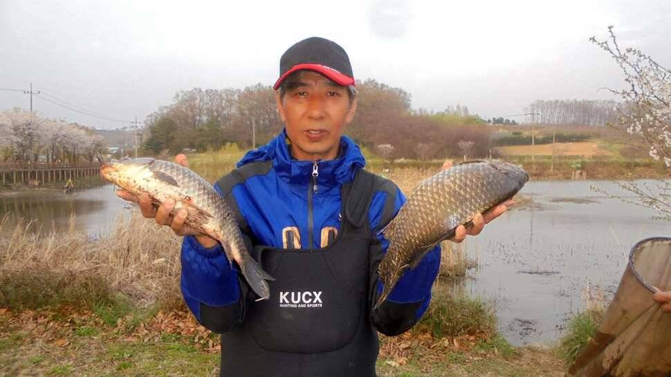 입석및 주변조황 (조황조행기 - 낚시점조황)