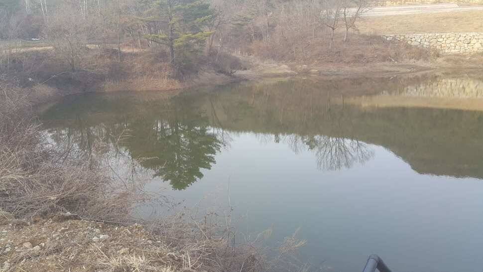 구미권 조황소식 (조황조행기 - 낚시점조황)