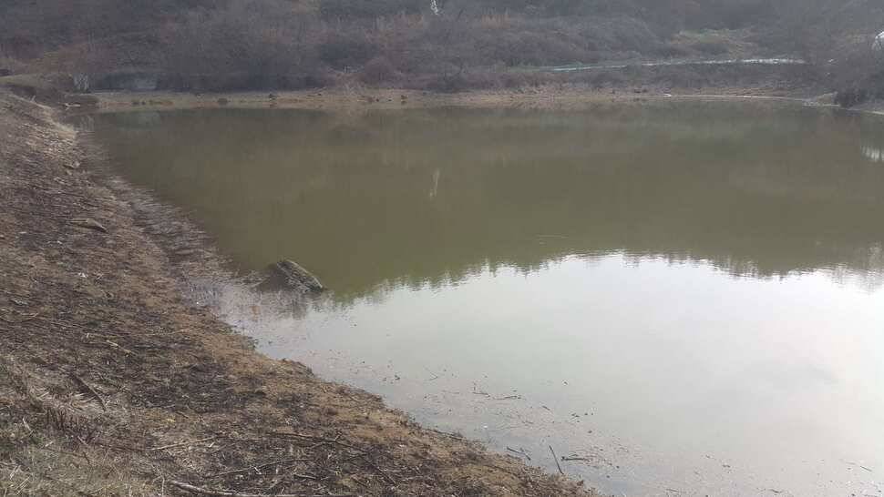 구미권 조황소식 (조황조행기 - 낚시점조황)