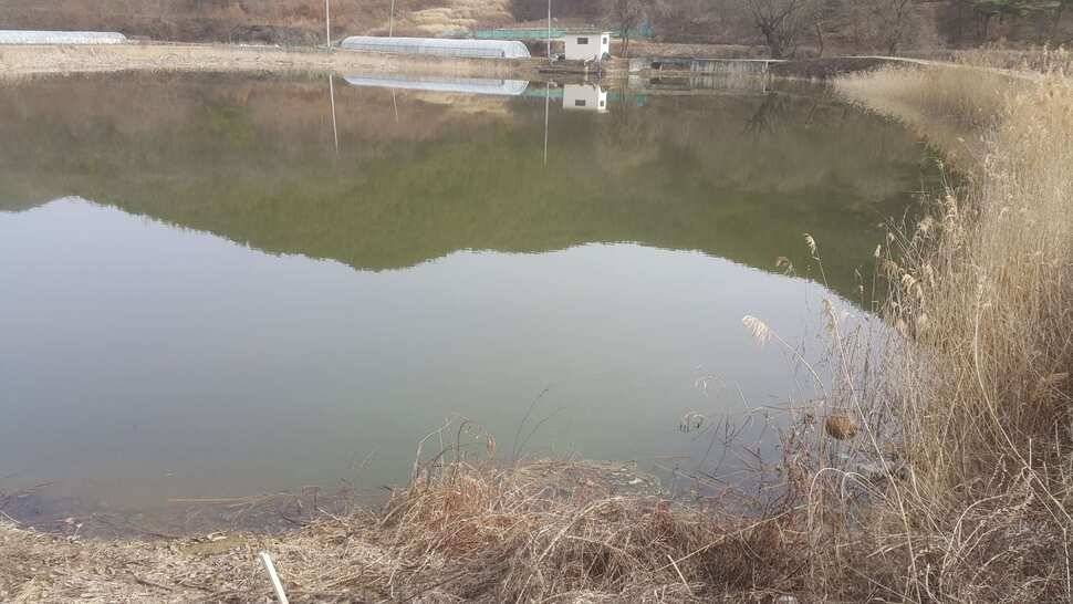 구미권 조황소식 (조황조행기 - 낚시점조황)