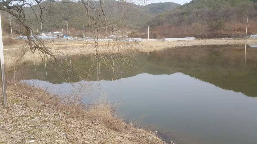 구미권 조황소식 (조황조행기 - 낚시점조황)