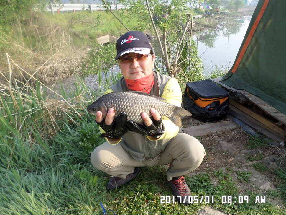 탄금호낚시대물405cm (조황조행기 - 낚시점조황)
