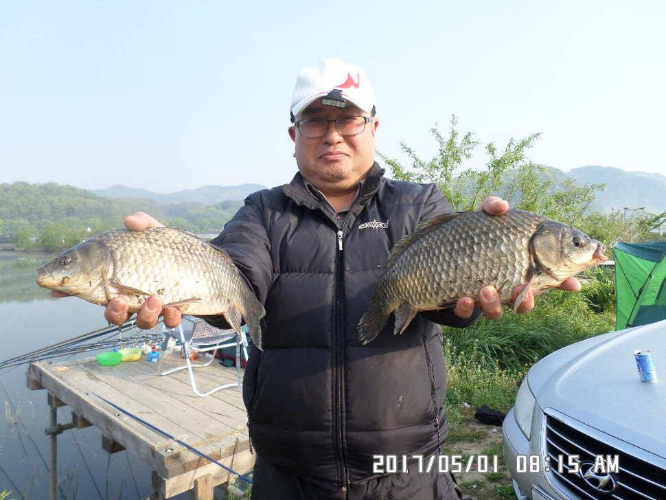 탄금호낚시대물405cm (조황조행기 - 낚시점조황)