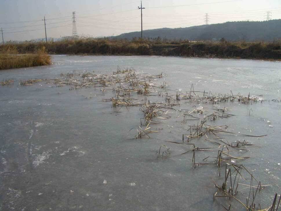 서태안권 얼음낚시 조황 출조시참고하세요 (조황조행기 - 낚시점조황)