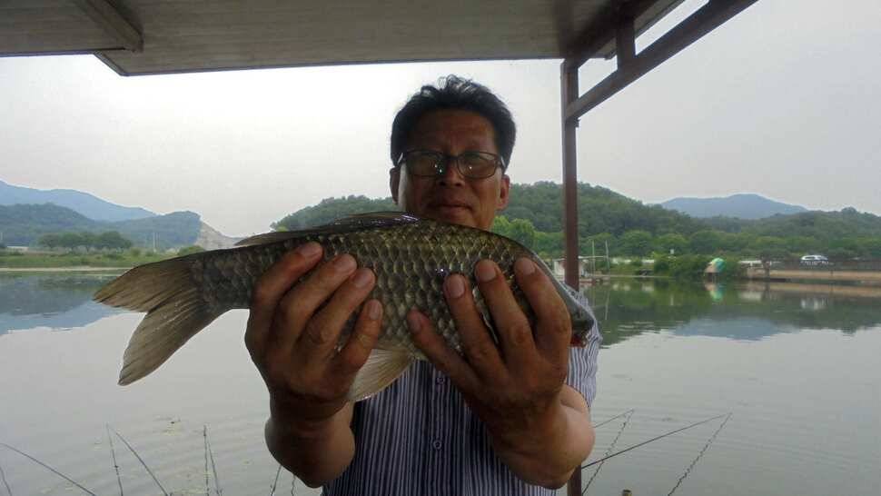 입석및 주변조황 (조황조행기 - 낚시점조황)