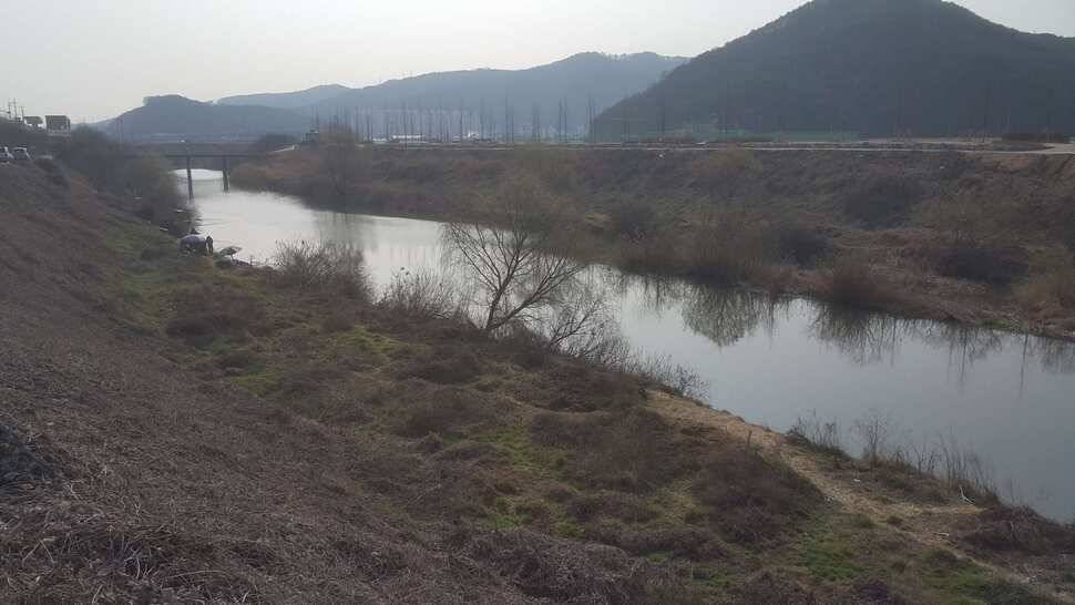 구미권 조황소식 (조황조행기 - 낚시점조황)