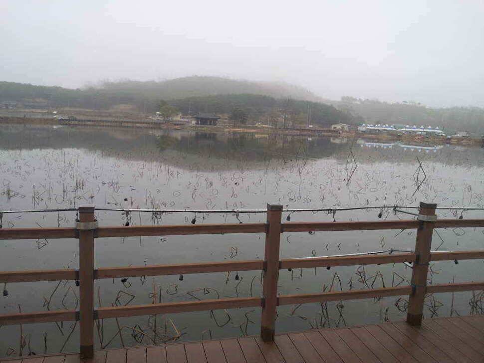 청도권유동연지성곡땜 청도천등조황입니다 (조황조행기 - 낚시점조황)