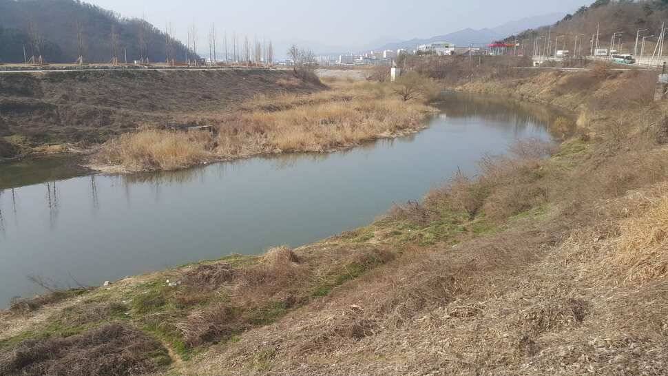 구미권 조황소식 (조황조행기 - 낚시점조황)