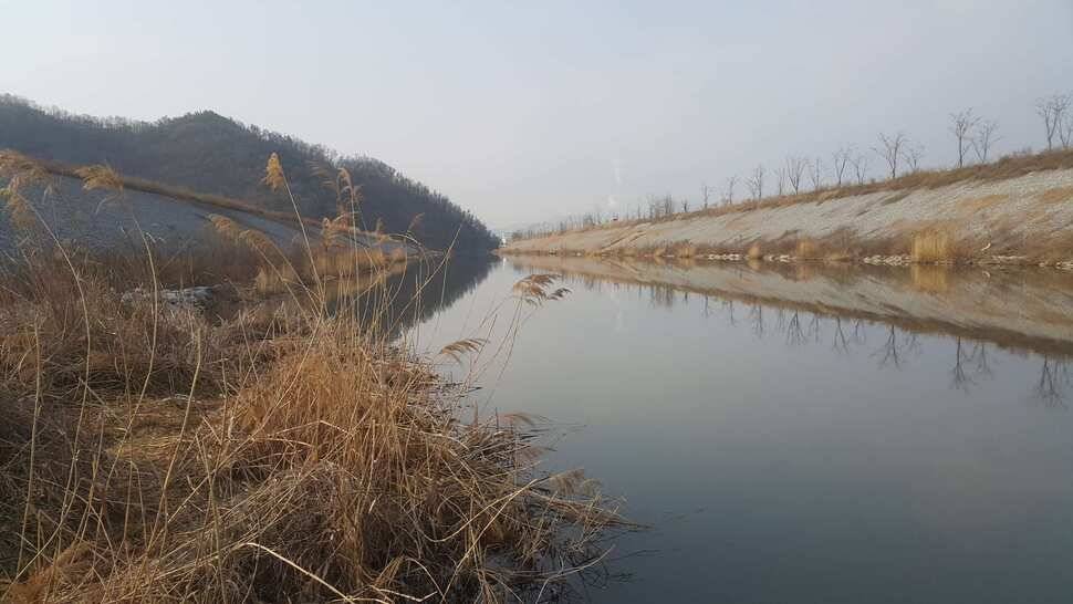 구미권 조황소식 (조황조행기 - 낚시점조황)