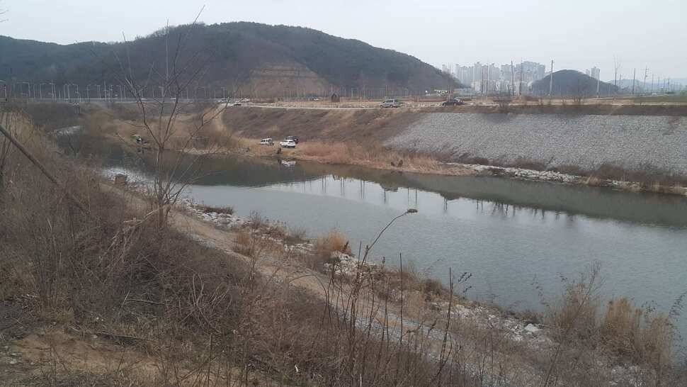 구미권 조황소식 (조황조행기 - 낚시점조황)