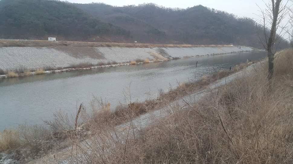 구미권 조황소식 (조황조행기 - 낚시점조황)