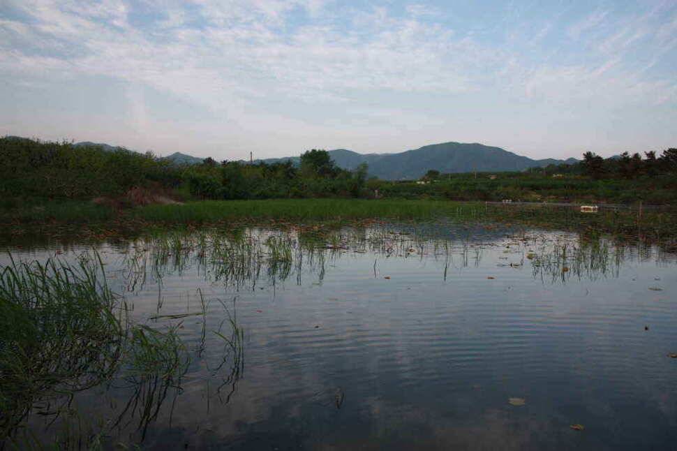경산 시민낚시입니다 4짜와 월척이 쏟아진 한주였습니다 (조황조행기 - 낚시점조황)