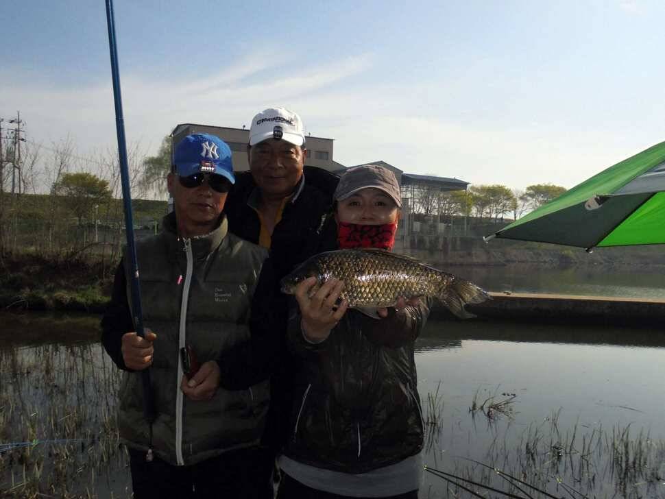 사짜가 나올듯 나올듯 오늘은395cm 입니다 (조황조행기 - 낚시점조황)