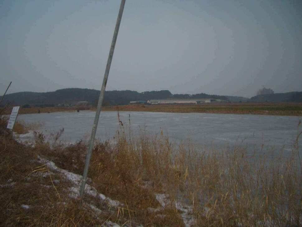 서태안안면도권 출조시 참고하세요 (조황조행기 - 낚시점조황)