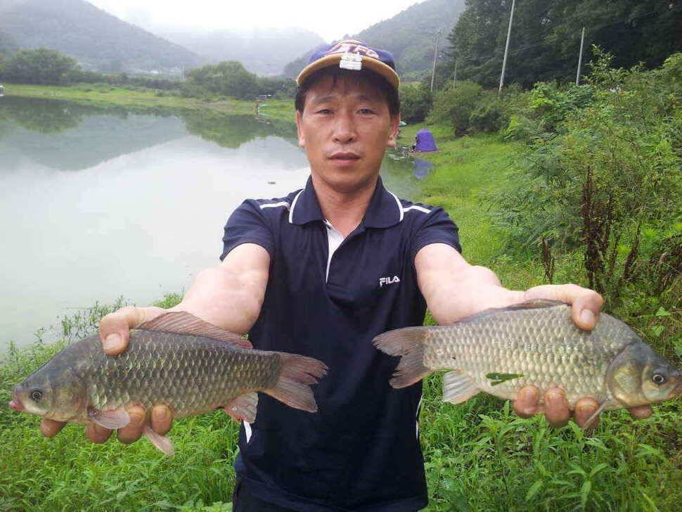 청도권아침9시조황 (조황조행기 - 낚시점조황)
