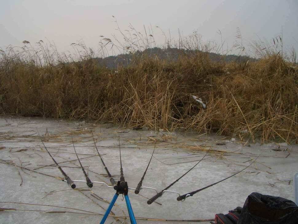 서태안안면도권 출조시 참고하세요 (조황조행기 - 낚시점조황)