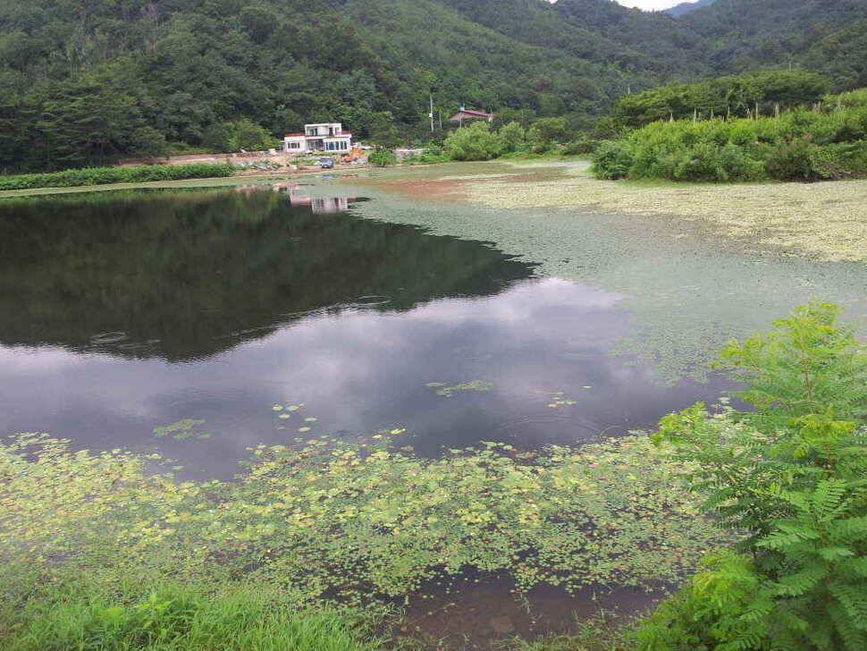 청도권 조황입니다 (조황조행기 - 낚시점조황)