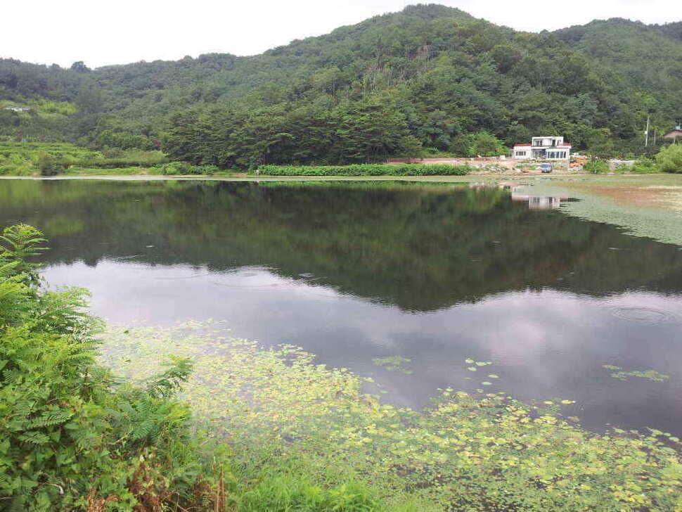청도권 조황입니다 (조황조행기 - 낚시점조황)