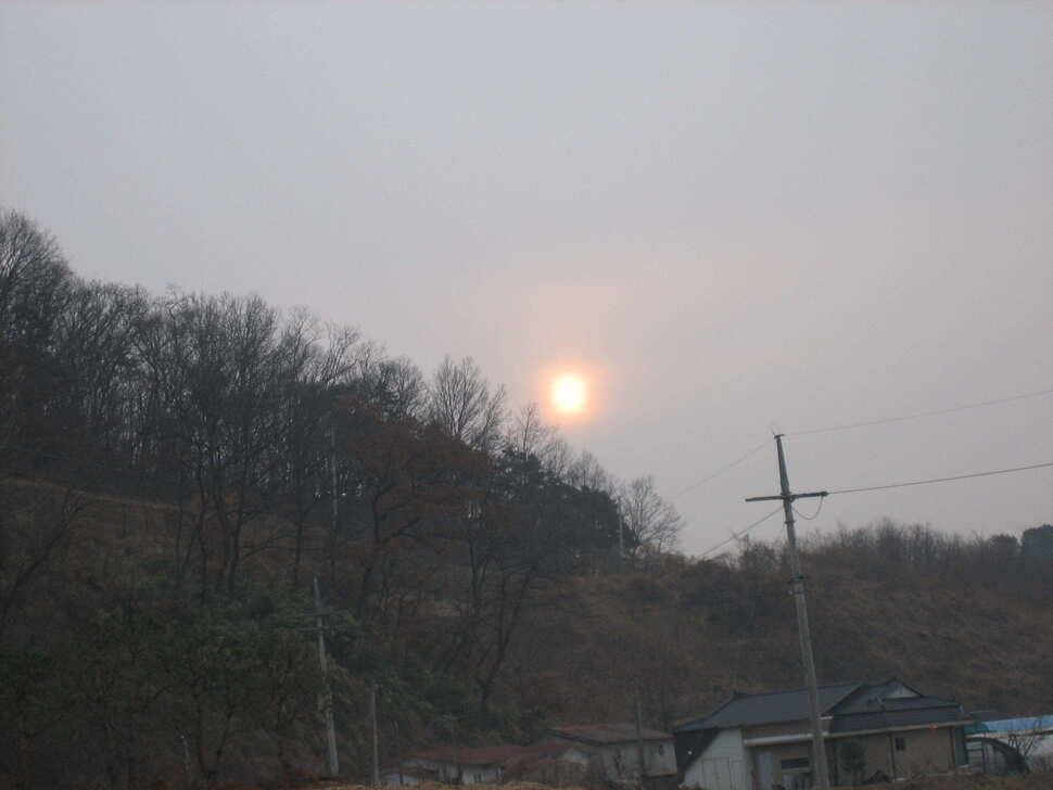 충주탄금호낚시조황 (조황조행기 - 낚시점조황)