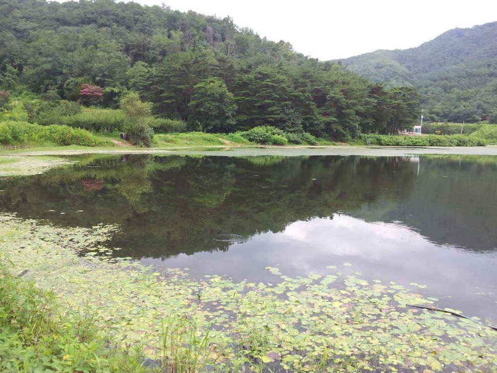 청도권 조황입니다 (조황조행기 - 낚시점조황)