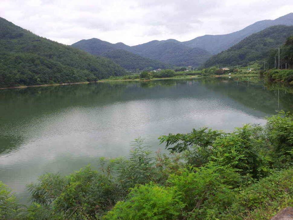 청도권 조황입니다 (조황조행기 - 낚시점조황)