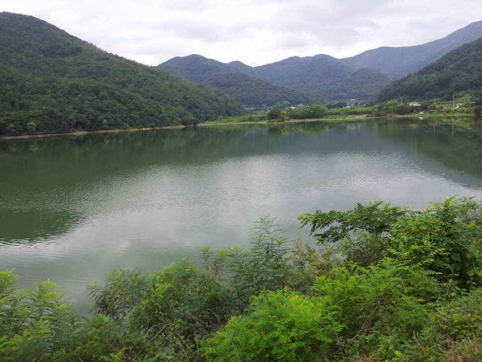 청도권 조황입니다 (조황조행기 - 낚시점조황)
