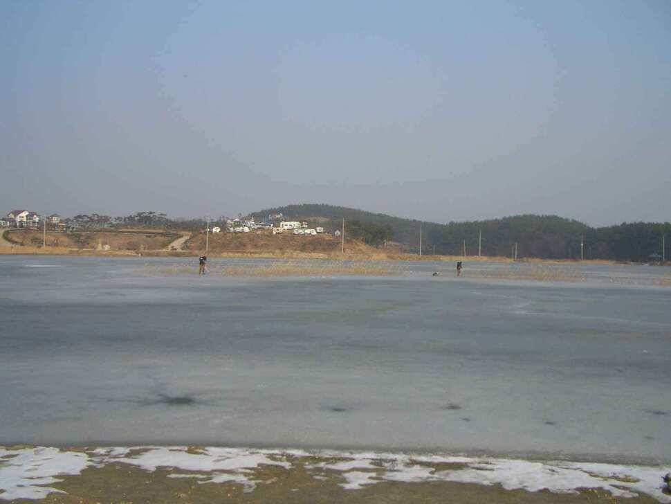 서태안안면도권 출조시 참고하세요 (조황조행기 - 낚시점조황)