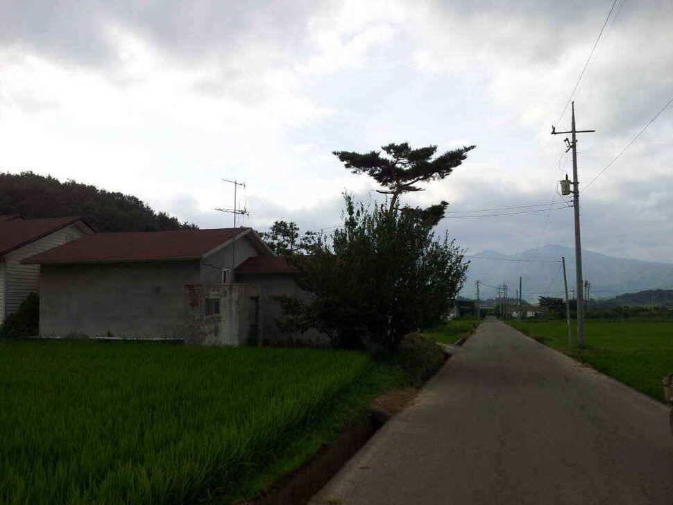 청도권 조황입니다 (조황조행기 - 낚시점조황)
