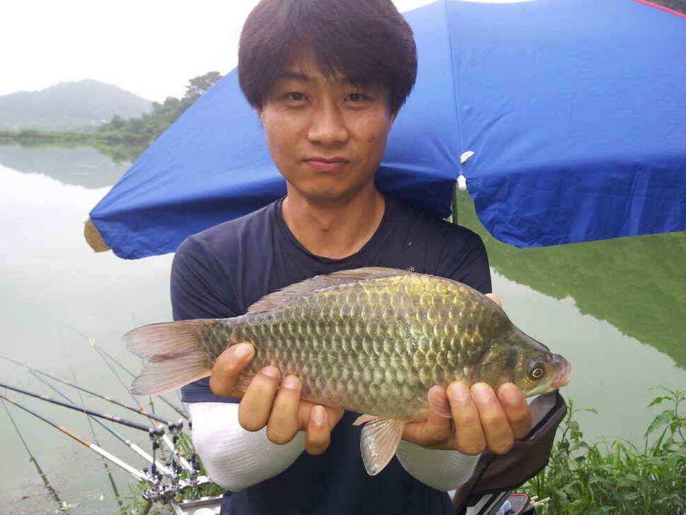청도권 아침 9시 현제 대박 조황입니다 (조황조행기 - 낚시점조황)