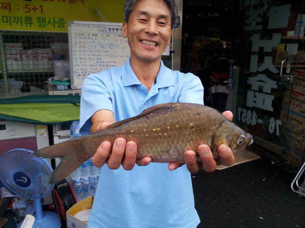 청도권 최대어 54센지가 칠엽지에서 (조황조행기 - 낚시점조황)