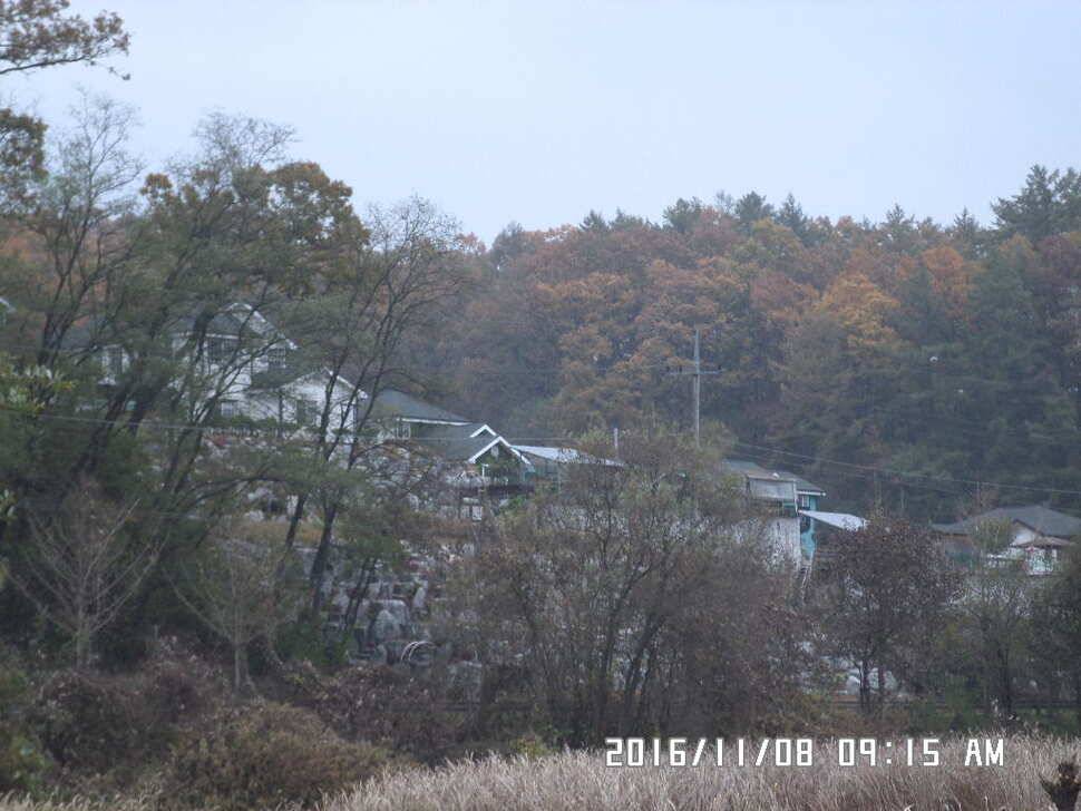 충주 탄금호 낚시조황 (조황조행기 - 낚시점조황)