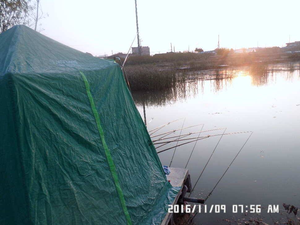 충주 탄금호 낚시조황 (조황조행기 - 낚시점조황)