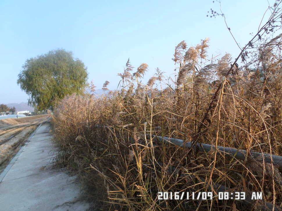 충주 탄금호 낚시조황 (조황조행기 - 낚시점조황)