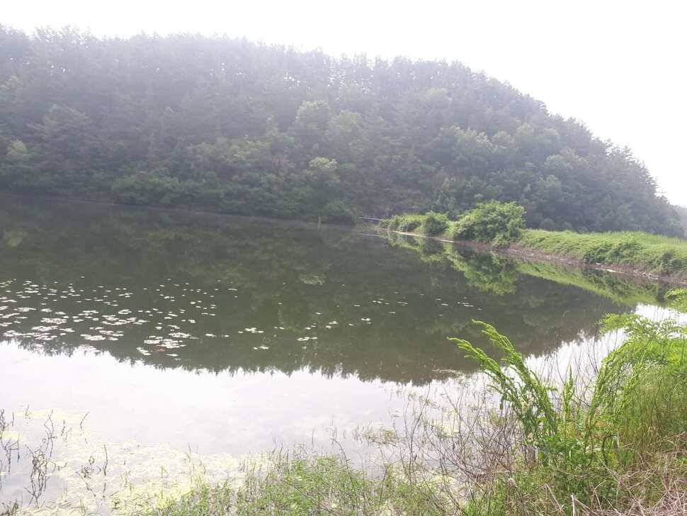 창녕권 저수지 탐사 (조황조행기 - 낚시점조황)