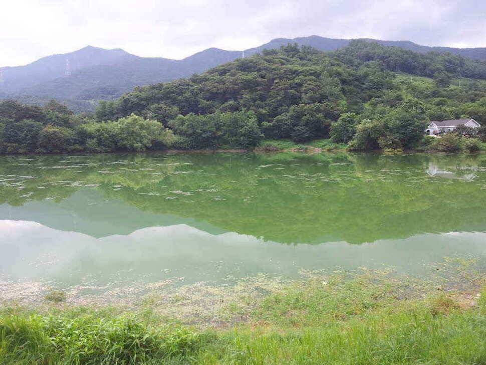 청도권 조황입니다 (조황조행기 - 낚시점조황)