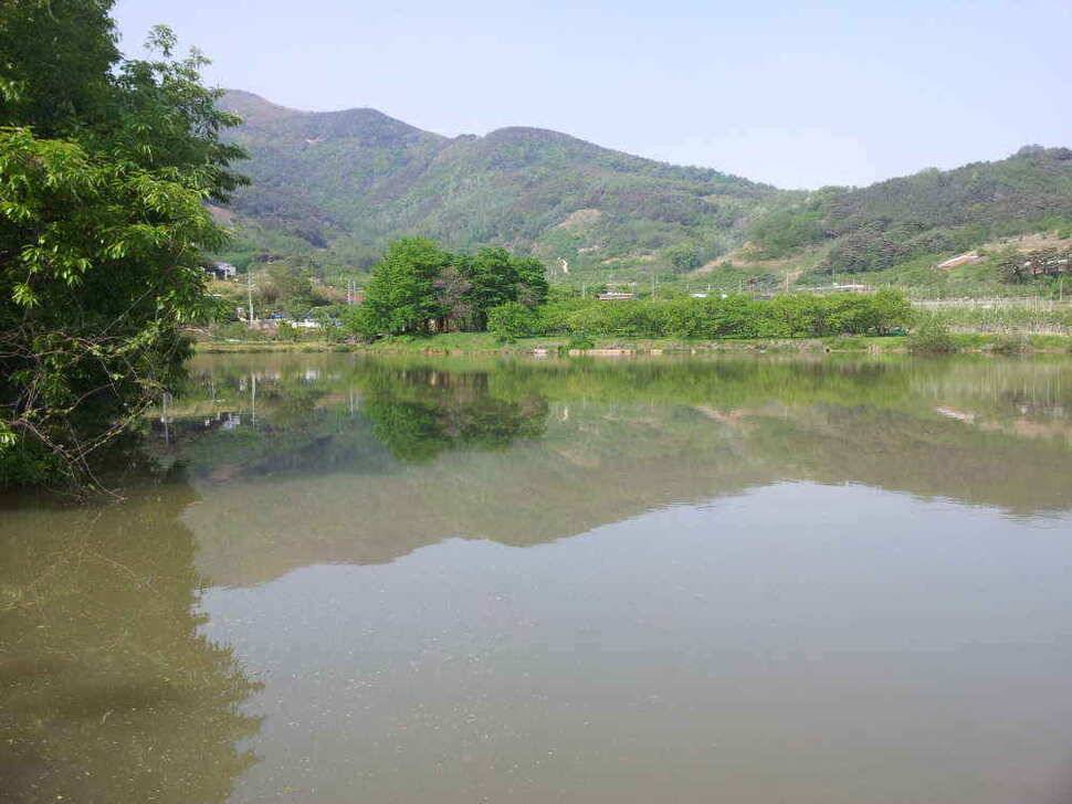 청도권유동연지성곡땜 청도천등조황입니다 (조황조행기 - 낚시점조황)