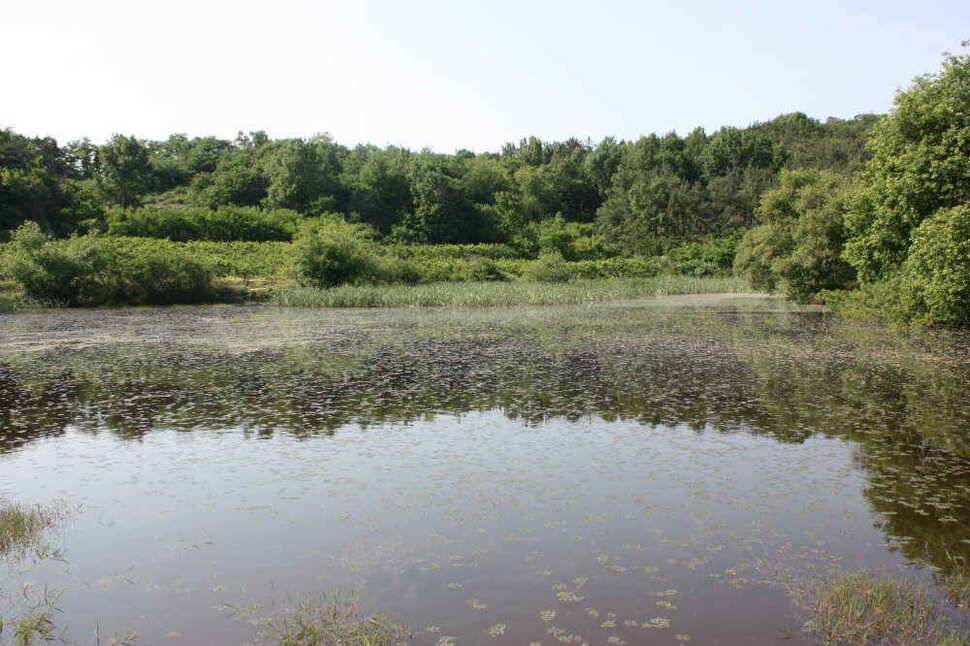 경북 경산권 조황정보 올립니다 (조황조행기 - 낚시점조황)