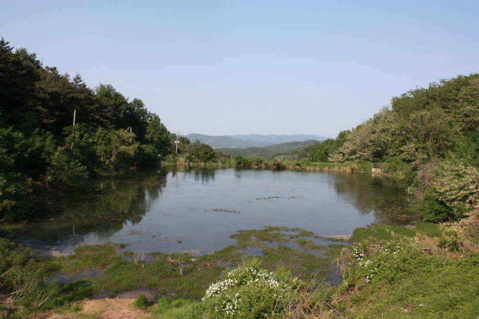 경북 경산권 조황정보 올립니다 (조황조행기 - 낚시점조황)