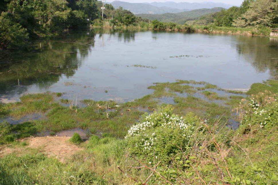 경북 경산권 조황정보 올립니다 (조황조행기 - 낚시점조황)