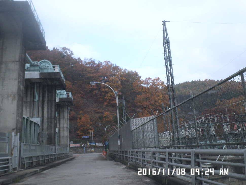 충주 탄금호 낚시조황 (조황조행기 - 낚시점조황)