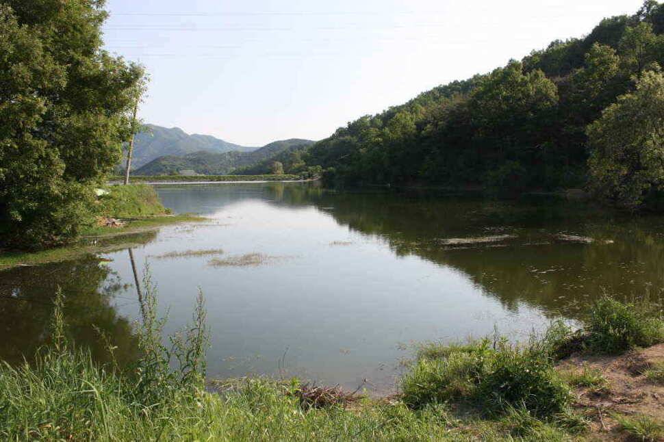 경북 경산권 조황정보 올립니다 (조황조행기 - 낚시점조황)