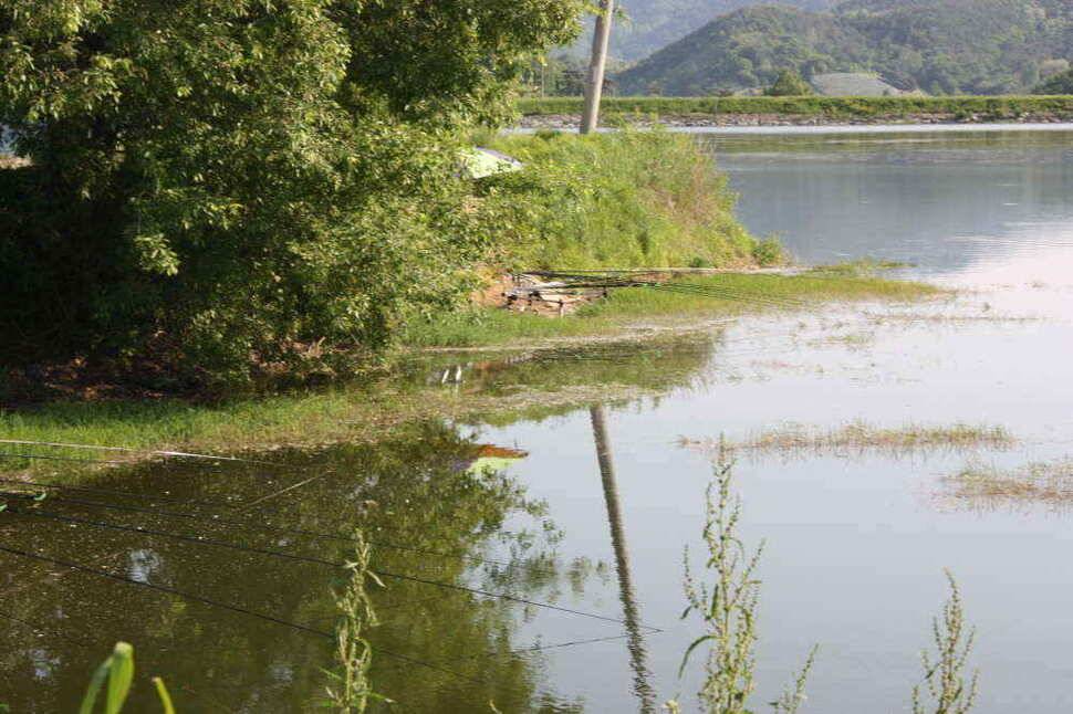 경북 경산권 조황정보 올립니다 (조황조행기 - 낚시점조황)